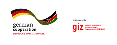 GIZ (The Deutsche Gesellschaft für Internationale Zusammenarbeit) logo